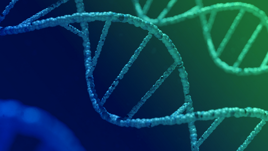 Universal Sequencing Technology